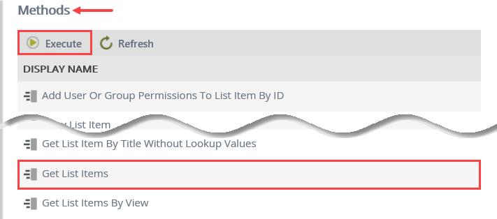 Execute Get List Items Method