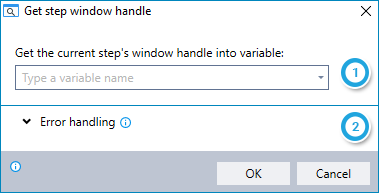 Get Step Window Handle