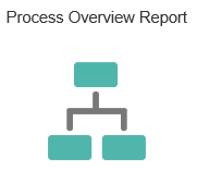 Process Overview Report