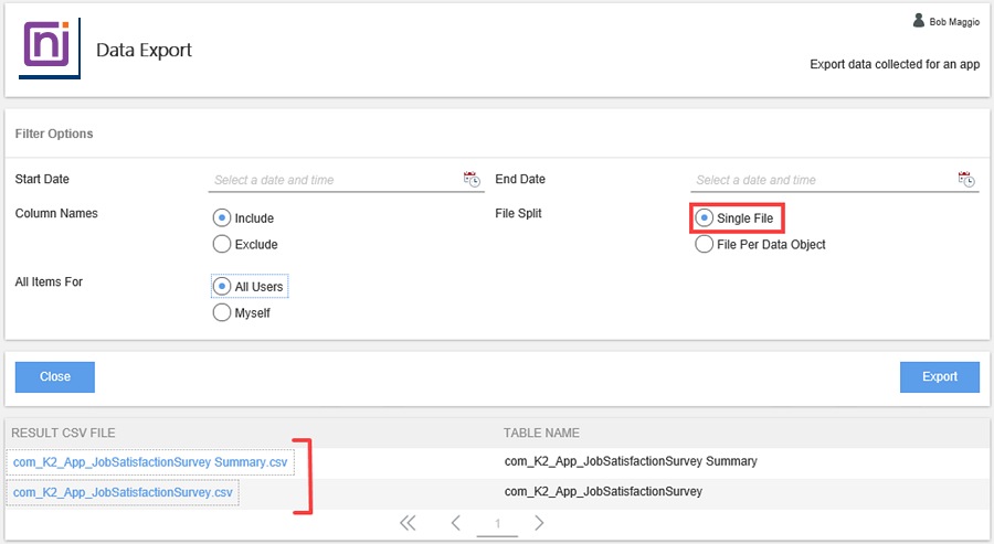 Export Single File Report